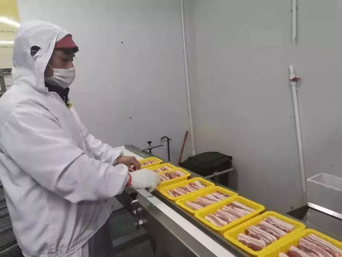 因為光明，所以溫暖 光明食品集團以實際行動服務社會，守護大眾健康